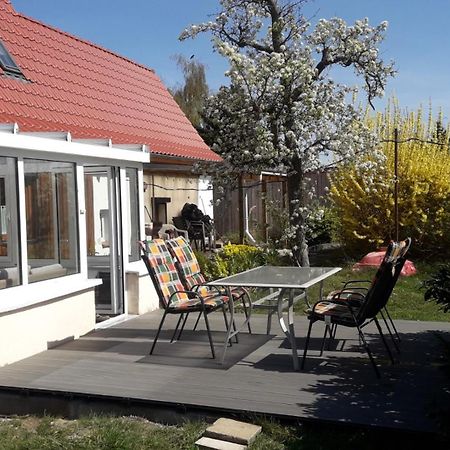 Ferienhaus Rosi Michaelstein Exteriör bild